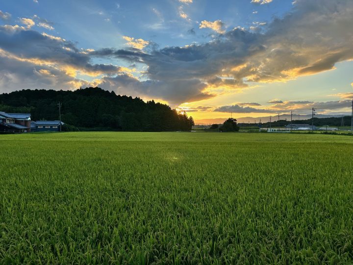 津市久居元町　ご成約!(^^)!