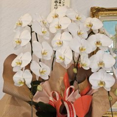 お陰様で創業40周年を迎えました