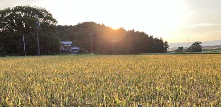 まだまだ暑いです！！2025年の夏！！！