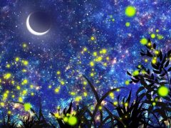 土地１件をご契約して頂きました。