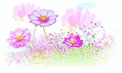 戸建2件をご契約いただきました。
